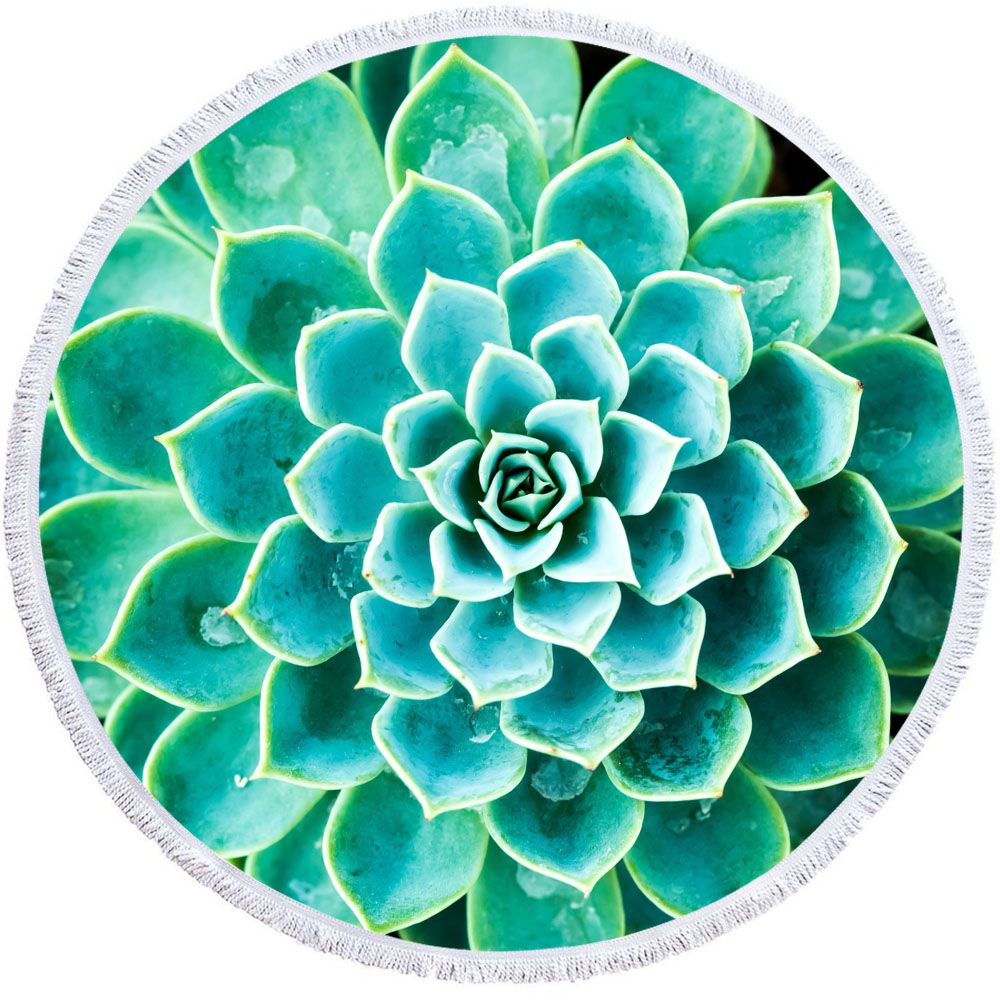 Beautiful Botanical Plants Green Cactus Round Beach Towel