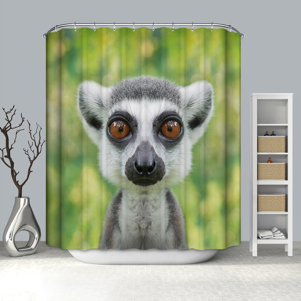 Lemur with Big Eyes African Wild Real Life Woods Animals Madagascar Shower Curtain