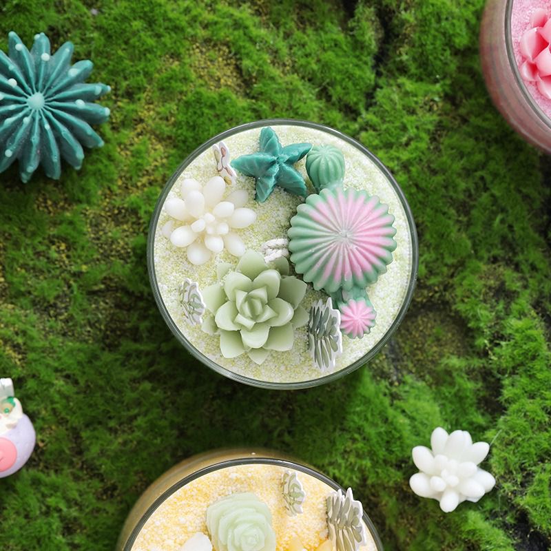 succulent jade candle Succulent Scented Candles, Aromatherapy Diy Candle Sand Soy Wax, Cactus Jar Glass Holder Decor – GoJeek