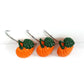 12Pcs Thanksgiving Harvest Vegetables Orange Pumpkin Shower Curtain Hooks Rings