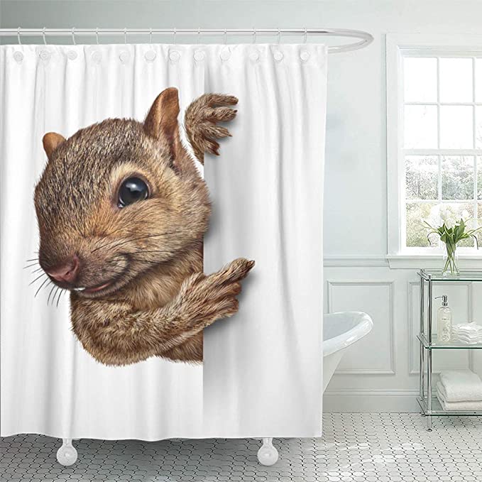 Realistic Fur And Paws Cute Squirrel Shower Curtain