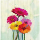 Colorful Flower Painting Gerber Daisy Shower Curtain