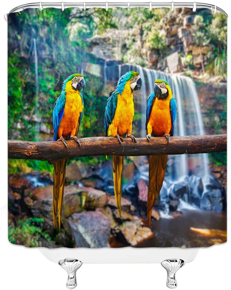 Blue Yellow Macaw Parrot on Branch Shower Curtain