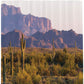 Cactus with Mountain Arizona Desert Scene Shower Curtain
