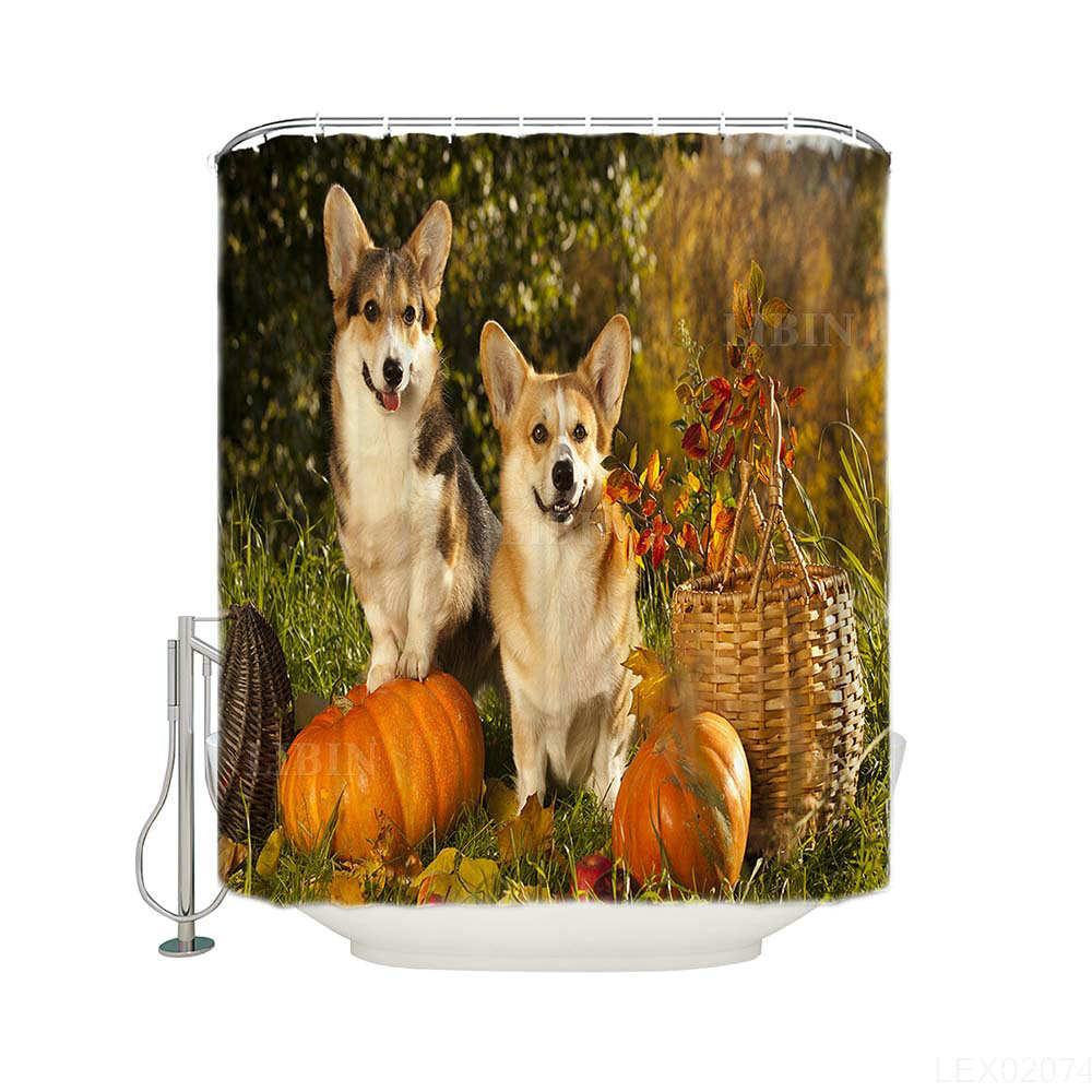 Cute Pet Dogs with Harvest Basket Corgi Pumpkin Shower Curtain
