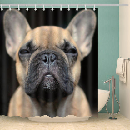 Cute Miniature Bulldog Staring at you Shower Curtain