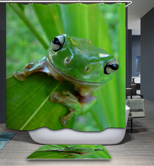 Under the Leaf Cover American Green Tree Frog Shower Curtain