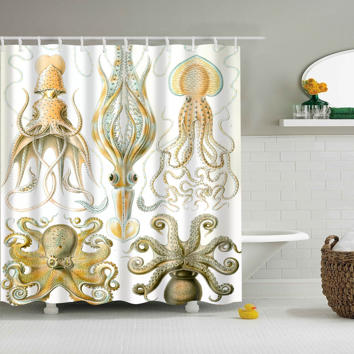 Vintage Variety Kinds of Octopus Shower Curtain