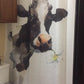 Watercolor Daisy Cow Head Shower Curtain